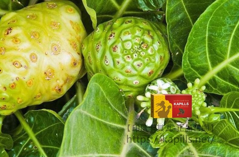 巴戟天1-1, 壯陽藥, 壯陽產品, 壯陽中藥, 威而鋼, 犀利士, 必利勁, 樂威壯, 樂軒昂, 壯陽產品, 勃起障礙, 必利勁, 瑪卡, 藍色小藥丸, 偉哥, 武倍對策, 我弟很猛, 增大增粗